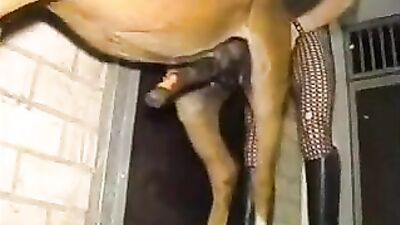 Fucking a pony
