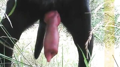 His cock throbs