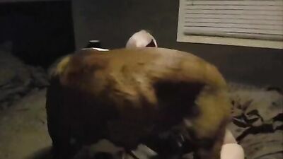Fuck me on the bed
