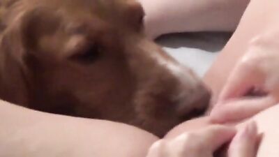 Caras Sweet Slumber Seduction