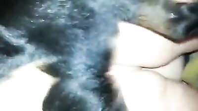 Zoo