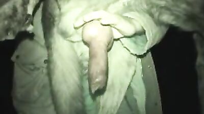 A very fat cock