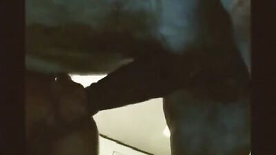 horse cum from pussy to the glass