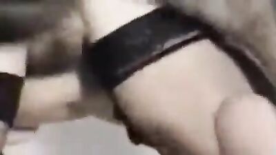 Amateur German wife Dog creampie