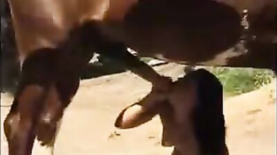 horse breaks in