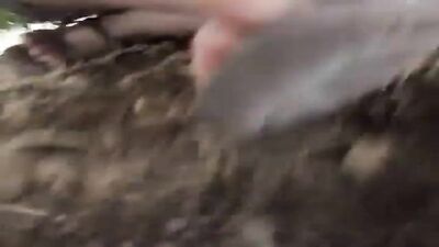 handjob and blowjob