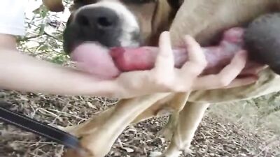 handjob and blowjob