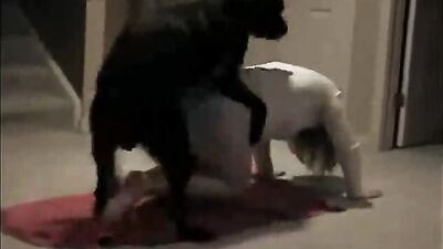 kamasutra dog