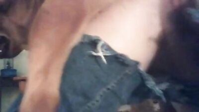 broken jeans knott