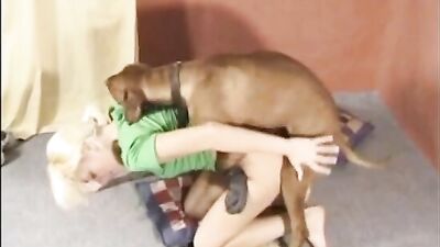 firecracker fucks dogs comes back