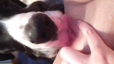 a few licks