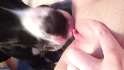 a few licks