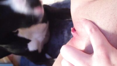 a few licks