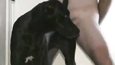 mi perra fiel