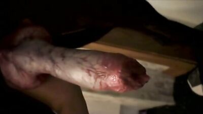 alien dog prick