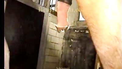 pussy destroyed by horse cock