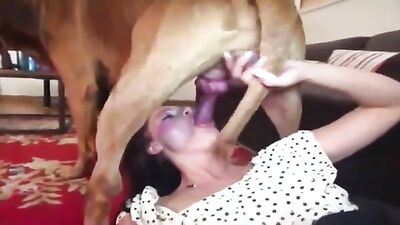 bestiality comp