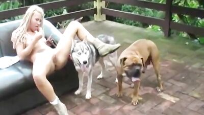 girl sucks two dogs 2