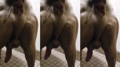 Puppys Paw-some Blowjob Ends with a Pups Pudding Overflow