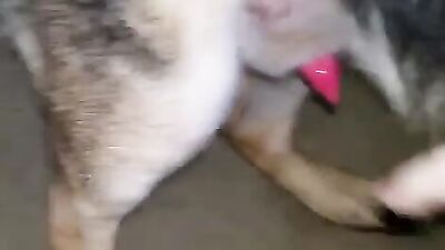 Sizzling GSD Gets Handjob of Dreams