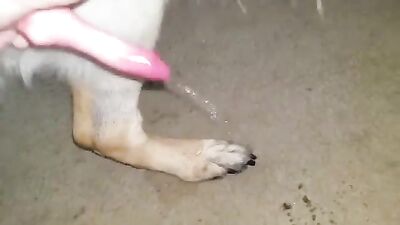 Sizzling GSD Gets Handjob of Dreams