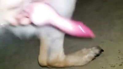 Sizzling GSD Gets Handjob of Dreams