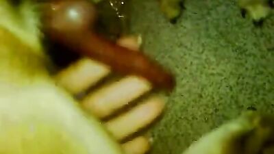 Jerking each other