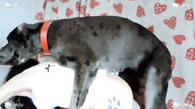 Dog loves me