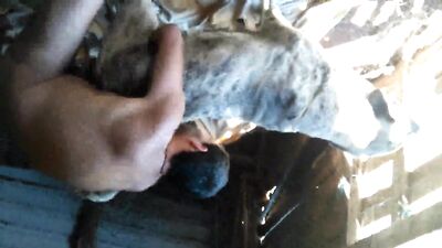 Teenage Carmens Puppy Love: Blowjob, Anal, Cumshot