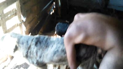 Teenage Carmens Puppy Love: Blowjob, Anal, Cumshot