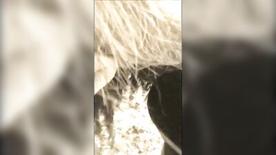 Horse Farm Bait Sucks Hard While Being Examined