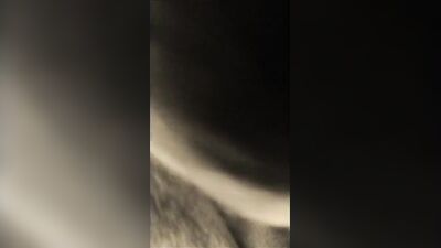 Horse Farm Bait Sucks Hard While Being Examined