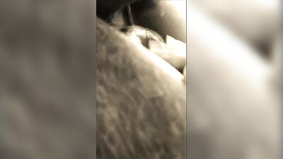 Horse Farm Bait Sucks Hard While Being Examined