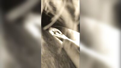 Horse Farm Bait Sucks Hard While Being Examined