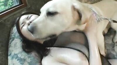 Seductive Sluts Servicing Hung Hounds