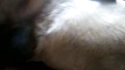 Bitch In Full Heat Rampage - Green-Eyed Perra Devours Cock