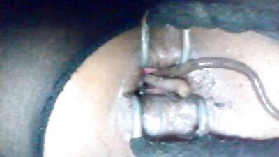 nice earthworm