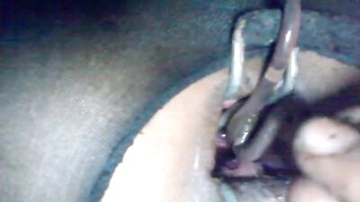 nice earthworm