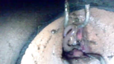 nice earthworm