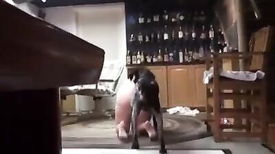 Doogy sex