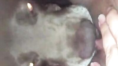 Dirty Dogs Pussy Cleaning Party