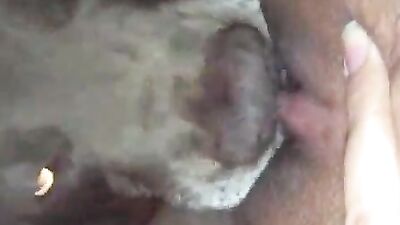 Dirty Dogs Pussy Cleaning Party
