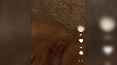 dog breedig