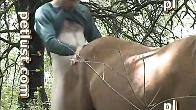 fucking animals