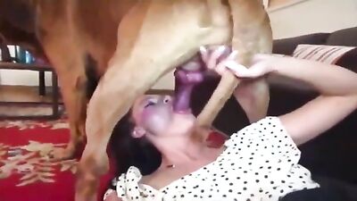 Petting Pooch Leads to Pussy Play