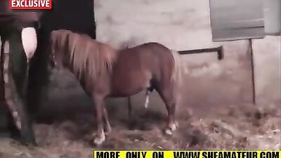 Stable Sex Rampage: Blonde Impaled by Boar in Forbidden Threesome