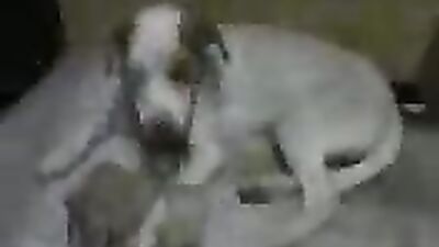 next zoo star