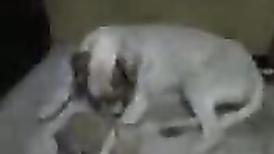 next zoo star