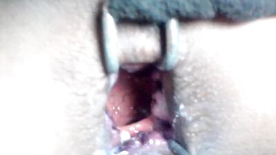 nice worm
