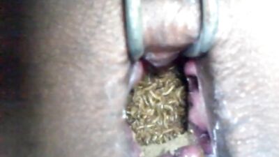 nice worm